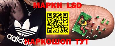 амф Сланцы