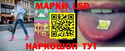 амф Сланцы