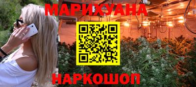 дмт Славгород