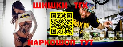 дмт Славгород